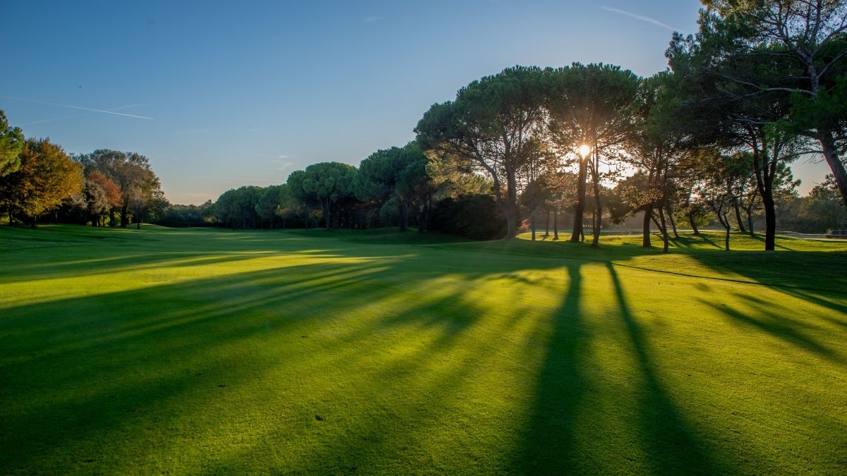 lush fairways at BRG Da Nang Golf Resort