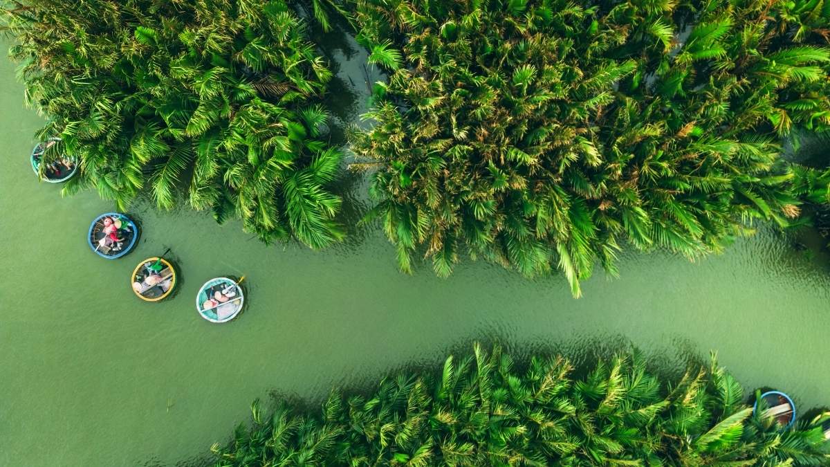 Take A Basket Boat Tour Through The Bay Mau Coconut Palm Forest
